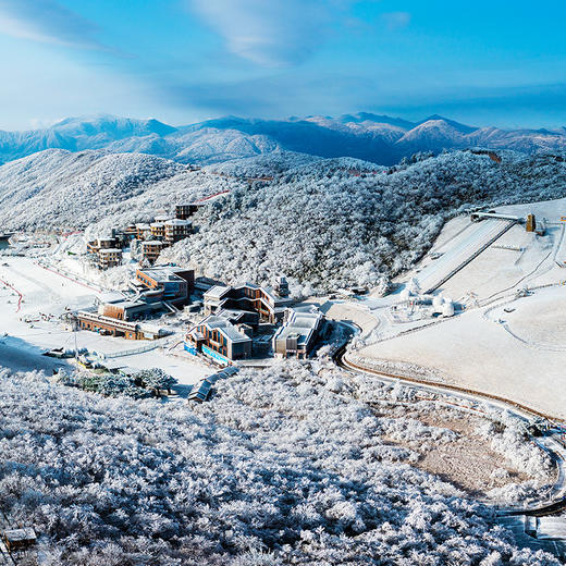 【25年-26年滑雪全季卡】云上草原滑雪全季卡，有效期内享滑雪季全天畅滑，含中高级雪道，索道VIP通道，高级道缆车，三乐园畅玩，周末及节假日通用，使用有效期2025年12月-2026年3月滑雪季！ 商品图6