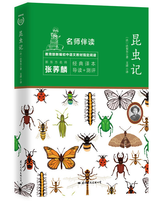 初中七年级推荐阅读系列10册 鲁迅 沈从文 等著 世界名著 商品图1