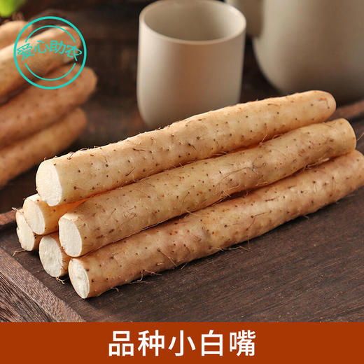 小白嘴山药  约5斤装 商品图3