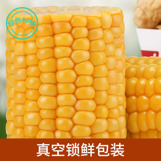 黄糯玉米 8根 商品图0