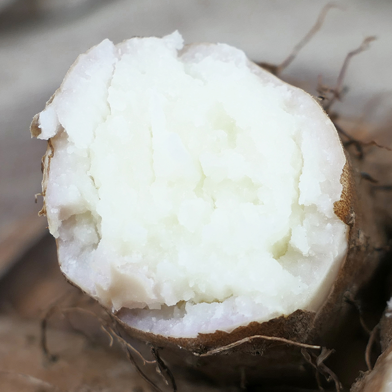 正宗温县垆土铁棍山药 香甜粉糯   补而不燥 5斤