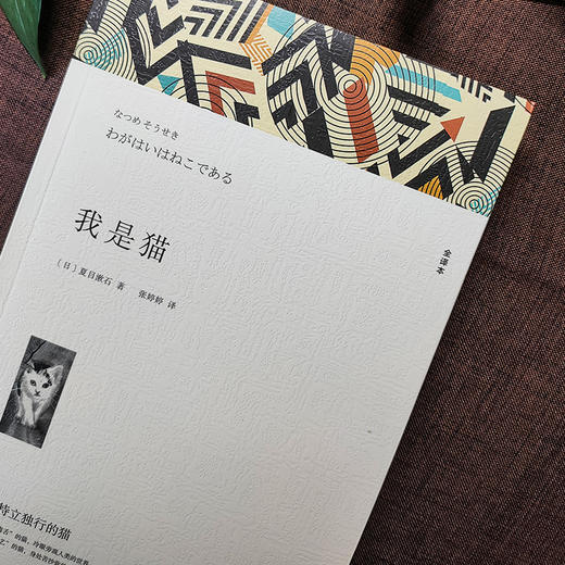 我是猫 全译本 商品图3