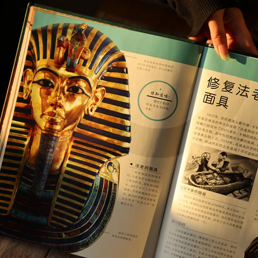 DK博物馆背后的故事 商品图3