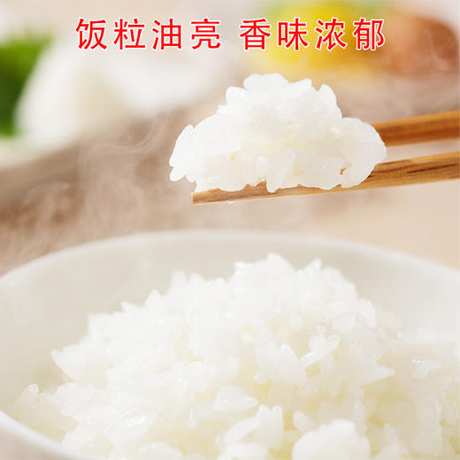 稼穑园五常长粒香  东北大米10斤新米 商品图3