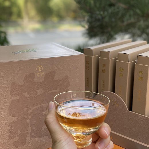 云顶封藏2021 四大名山生普（4饼1428g）布朗易武南糯勐宋 商品图2