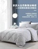 天空之城-M-J baby 霸气大豆被 商品缩略图6