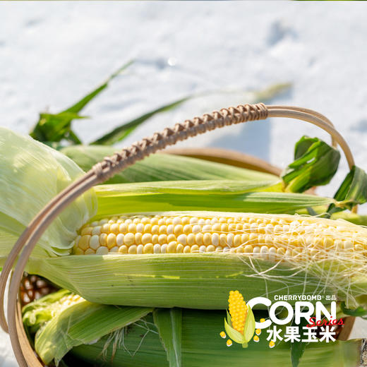 生熟两吃高甜度水果玉米  中通快递 商品图2