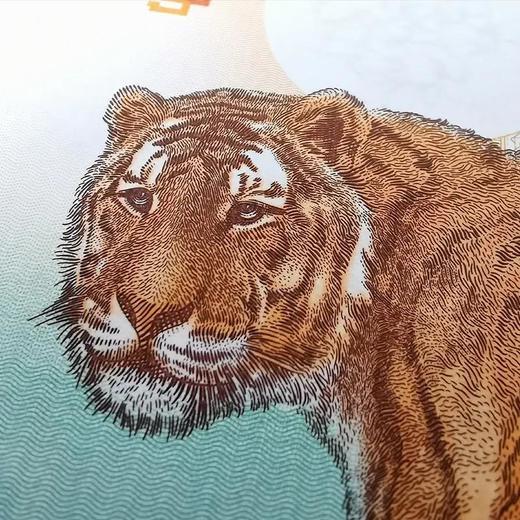 【西安印钞】2022虎年生肖纪念单券 商品图5