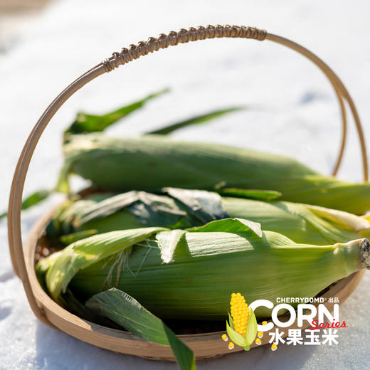 生熟两吃高甜度水果玉米  中通快递 商品图12
