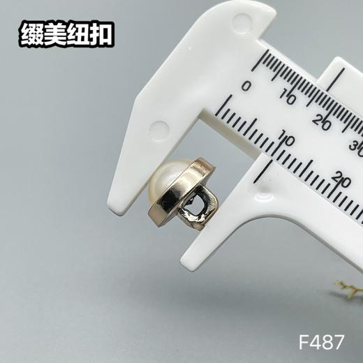 F487(整包购买) 商品图4