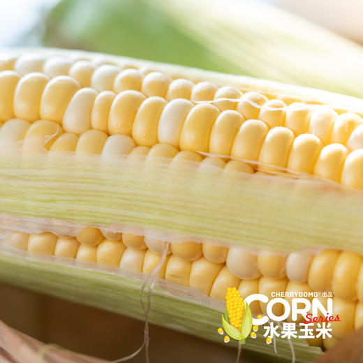 生熟两吃高甜度水果玉米  中通快递 商品图0