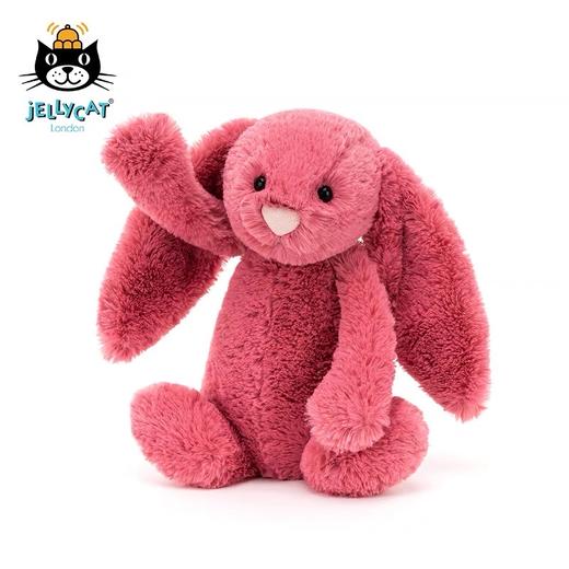 英国Jellycat 害羞邦尼兔 毛绒玩具宝宝安抚公仔玩偶抱枕31cm [福利品] 商品图7