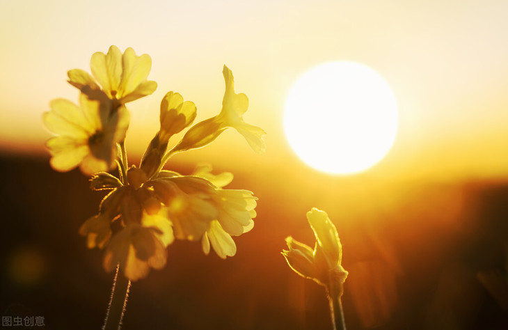 为何秋冬总手脚冰冷？可能是阳气正被消耗！中医教你4招拯救阳虚