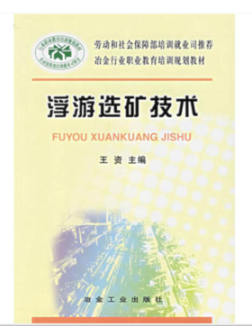 浮游选矿技术/王资