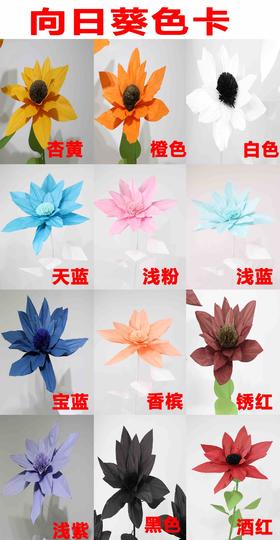 向日葵（运费自理）