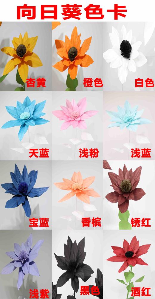 向日葵（运费自理） 商品图0