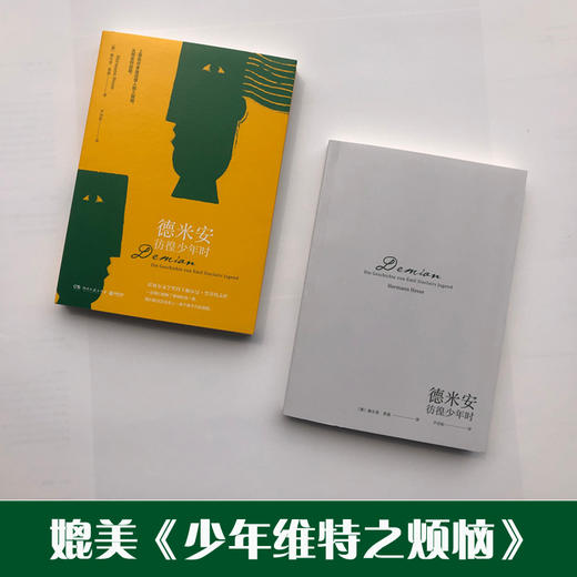 德米安：彷徨少年时   8年级中学生正版现货速发|名师推荐|小学生课外阅读八年级 商品图2