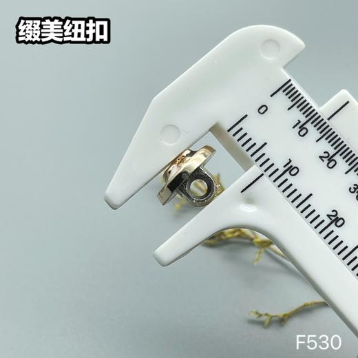 F530(整包购买) 商品图7