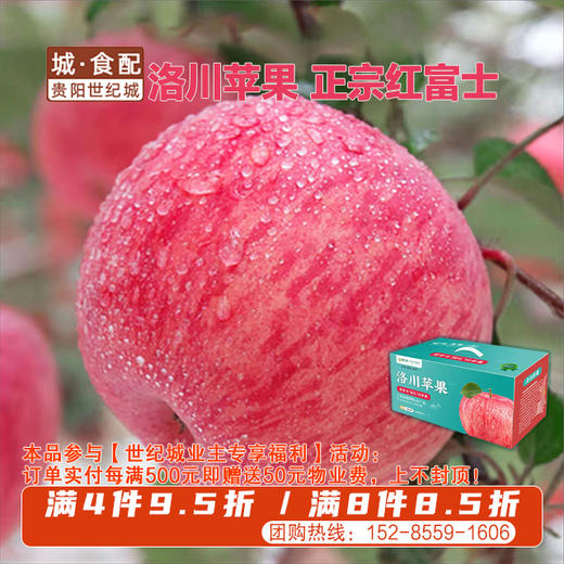 洛川红富士苹果16枚装80#果（约7-7.5斤）【GY】 商品图0