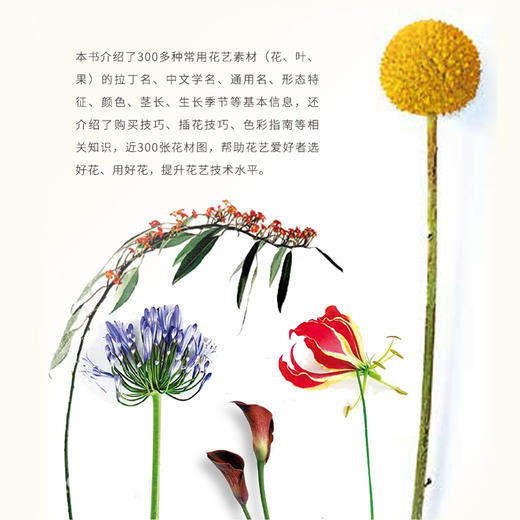 花艺素材速查手册 商品图3
