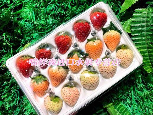 三色草莓🍓礼盒💝（红颜+粉淡雪+白天使）一套2盒（30枚） 商品图6
