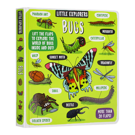 小小探险家 虫子 英文原版绘本 Little Explorers Bugs 儿童英语启蒙纸板翻翻书 英文版进口原版书籍 商品图0