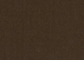 WT81238-102 纯毛绒面 【驼色 素色 组织变化 100%WOOL】英国面料-WT201