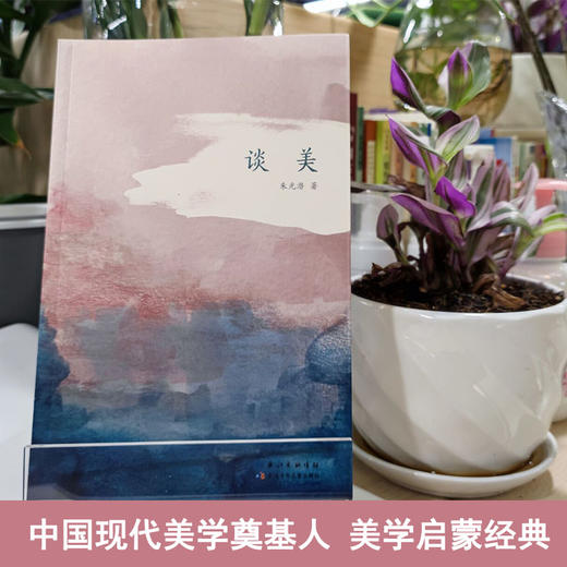 谈美    9年级中学生正版现货速发|名师推荐|小学生课外阅读九年级 商品图3