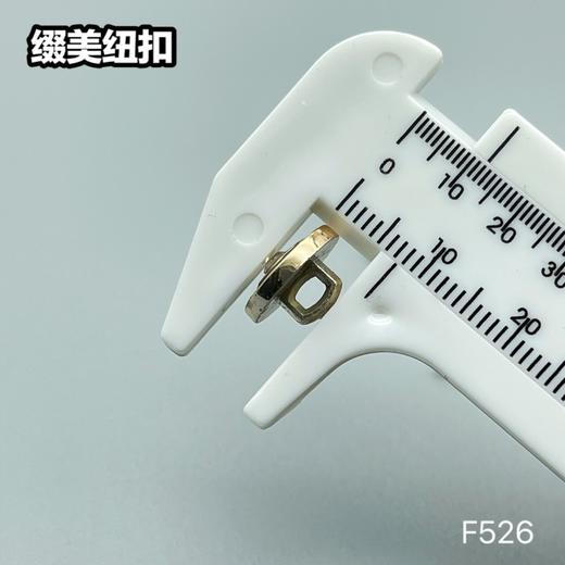 F526(整包购买) 商品图4