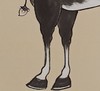 张志能 | 《马》-1 50cm×50cm 商品缩略图4