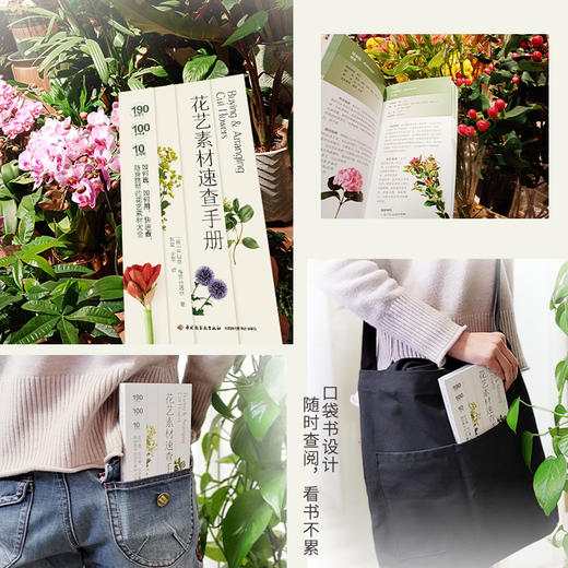 花艺素材速查手册 商品图4