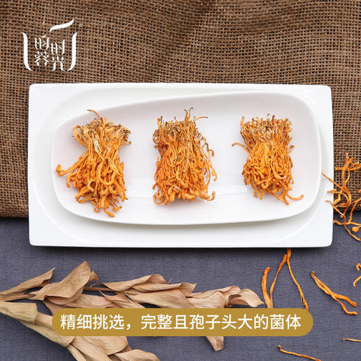 【昀蓉时光· ·新会正宗孢子头虫草花】孢子头硕大·身形纤细（100g/盒  200g/盒) 商品图2