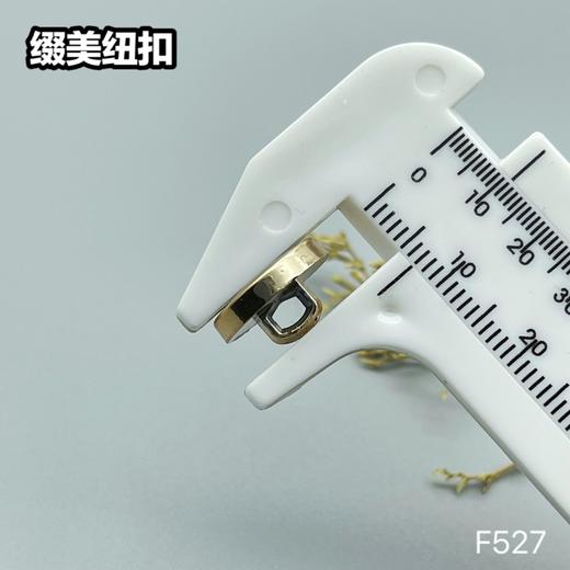 F527(整包购买) 商品图5