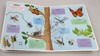 小小探险家 虫子 英文原版绘本 Little Explorers Bugs 儿童英语启蒙纸板翻翻书 英文版进口原版书籍 商品缩略图2