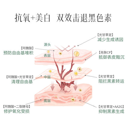 谷雨光感美白精萃水乳套组抗氧美白修护氧化受损全链美白净黑 商品图2