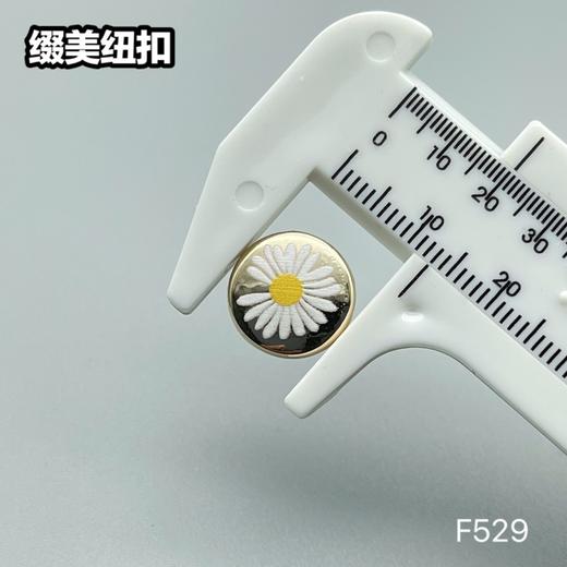 F529(整包购买) 商品图5