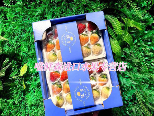 三色草莓🍓礼盒💝（红颜+粉淡雪+白天使）一套2盒（30枚） 商品图4
