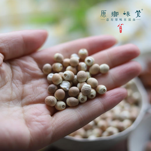 野生干芡实（成都仓库-顺丰快递） | 300g/罐，来自江苏宿迁，生产者：孙梓航【合作生产，公平贸易】 商品图2