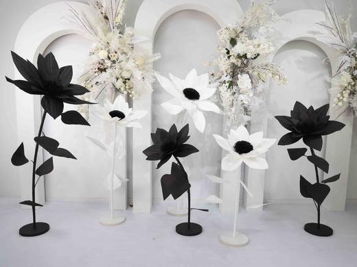 向日葵（运费自理） 商品图3