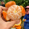 广西武鸣沃柑 甘冽多汁 皮薄易剥 细嫩化渣 商品缩略图2