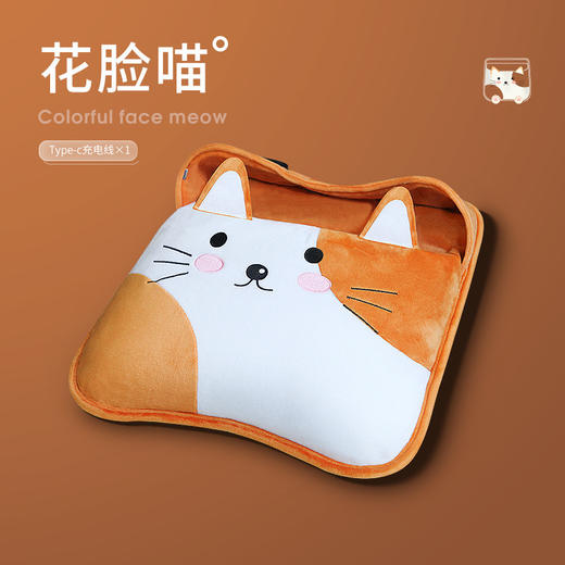 【暖水袋】-卡通暖脚宝宝暖水袋电热水袋暖手宝插电防爆 商品图5