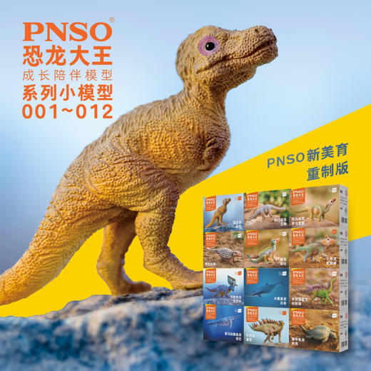 PNSO小恐龙模型儿童玩具恐龙大王成长陪伴模型001~012 商品图0