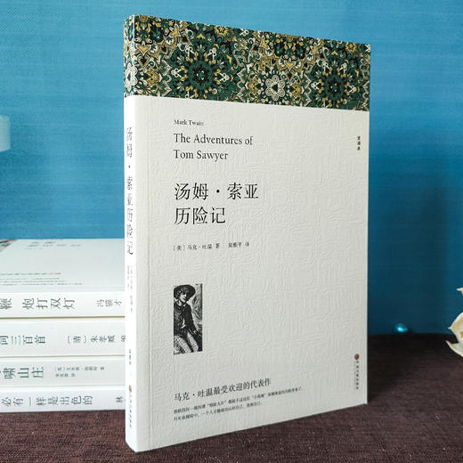 汤姆·索亚历险记 全译本 商品图1