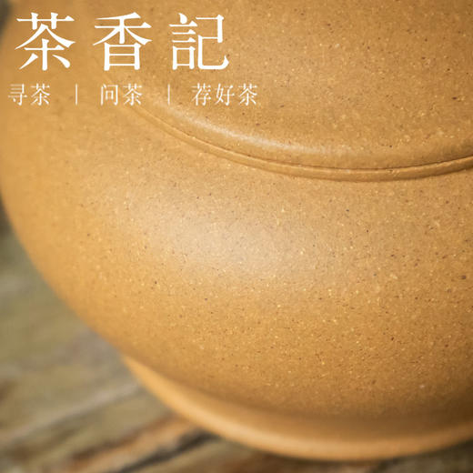 茶香记 紫砂壶 原矿黄金段泥 薄胎矮水平 商品图2