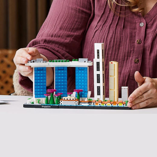 乐高21057新加坡 商品图3