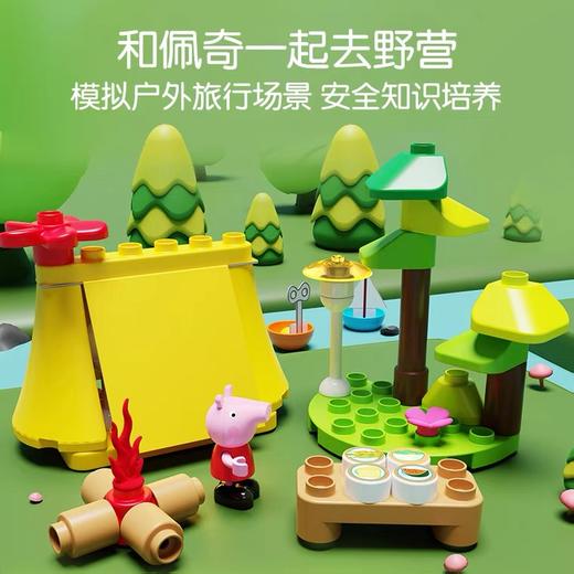 布鲁克x小猪佩奇的家拼装积木 商品图1