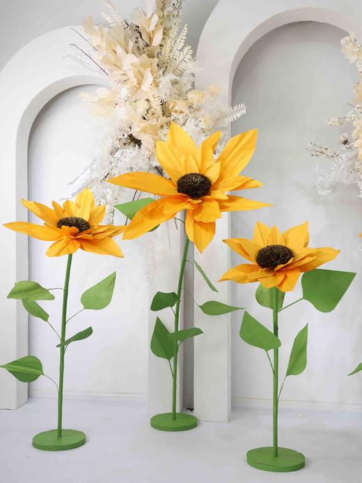 向日葵（运费自理） 商品图2