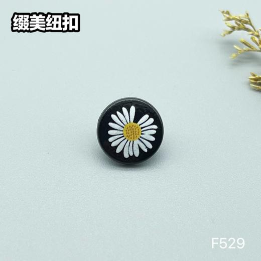 F529(整包购买) 商品图3