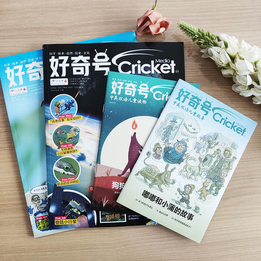 《好奇号》2022年期刊（订阅月份开始至次年） 商品图1