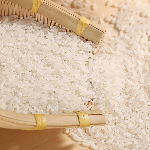 麦浪光坎牌光坎贡米家庭装5kg/袋 商品图2